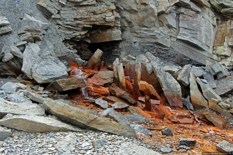 Альбом отзыва "Скалы Джоггинс — прогулка в поисках ископаемых реликтов"