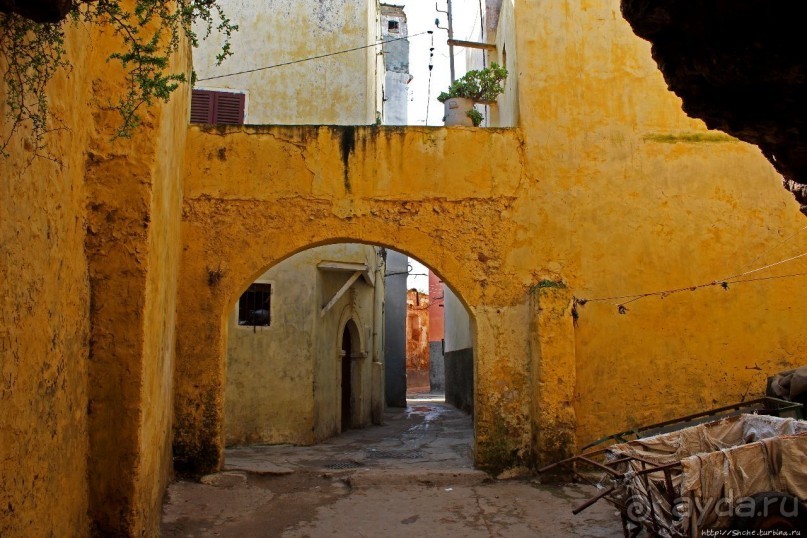 Альбом отзыва "Марокканский колорит внутри старой португальской крепости"